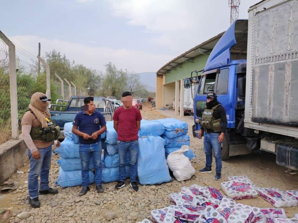 Tarija: FELCN incauta 591 kilos de marihuana 