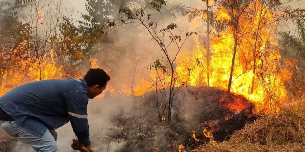 Pese a las lluvias, hay más de 40 incendios activos en Santa Cruz
