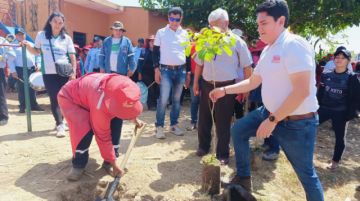 Inicia el plan “Tarija verde” para plantar 10 mil árboles 	
