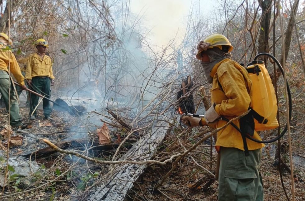 Inyectan Bs 70 MM para combatir incendios