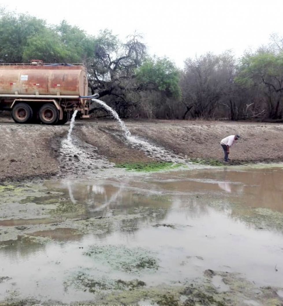 Tarija: Sequía amenaza el agro y la ganadería en 7 municipios