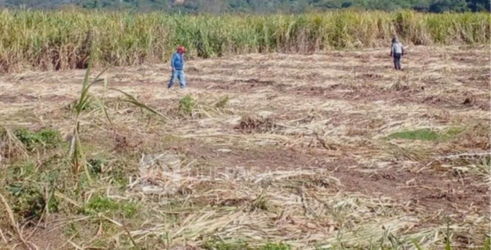 Gobierno de Argentina investiga supuesta invasión de bolivianos en Salta