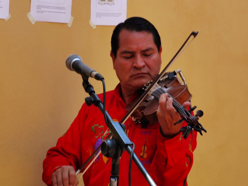Canto Canario, violín