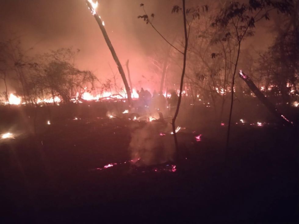 “El peor desastre ambiental en la historia de Bolivia": Fundación Tierra revela 10,1 millones de hectáreas quemadas