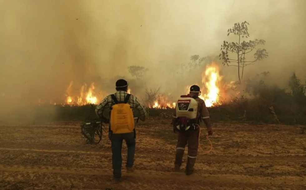 Colectivos lanzan consulta popular contra los incendios