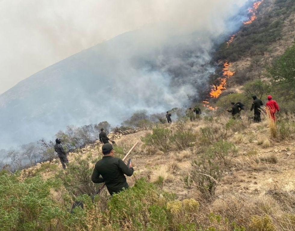 Incendio dañó 200 hectáreas de Jurina a Tucumillas
