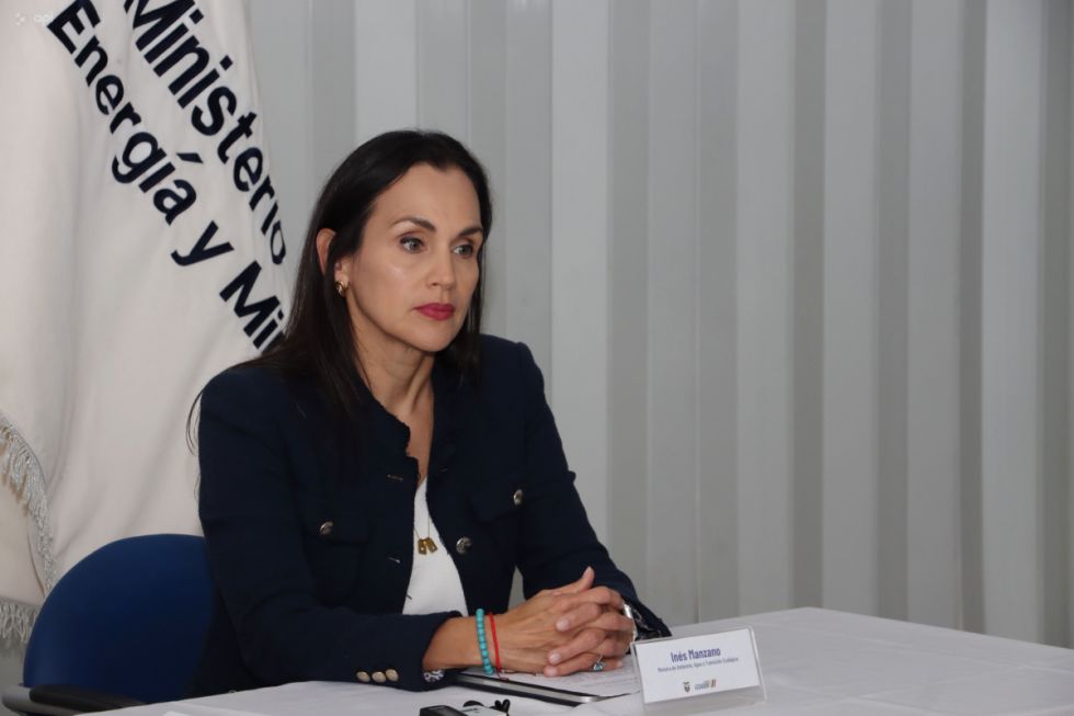 Noboa cesa al ministro de Energía de Ecuador