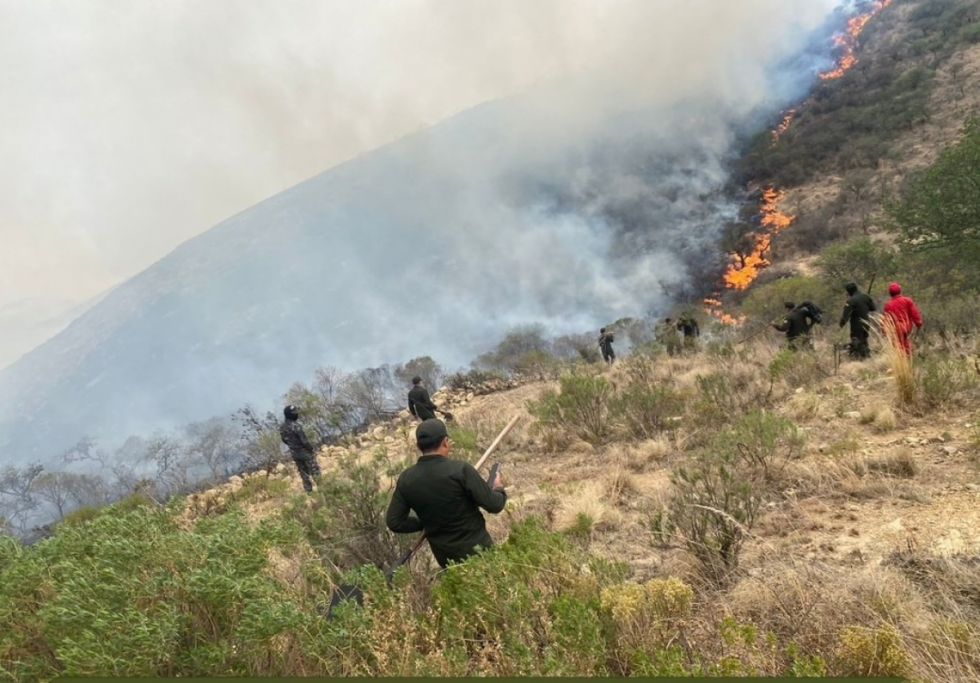 Dificultades económicas limitan el cuidado de la Reserva de Sama