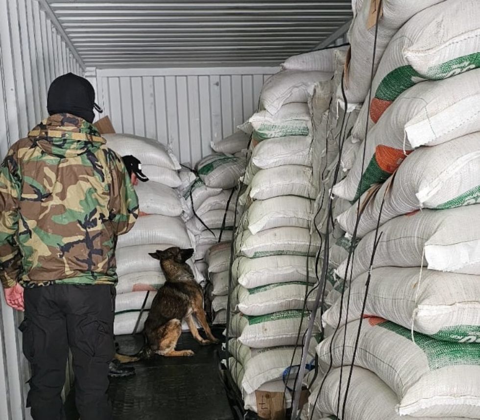 Hallan 21 toneladas de harina de soya mezcladas con cocaína 