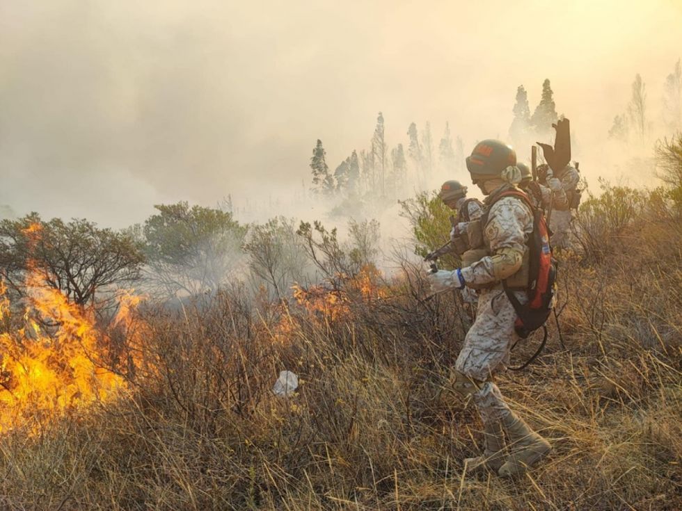 Casi el 50% de los incendios se redujeron en Santa Cruz