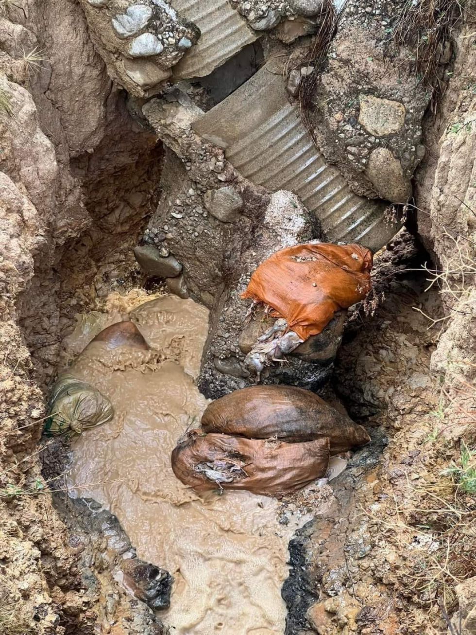 Hallan más de 50 bolsas con pollos muertos en el río de Pinos Sud - Tarija