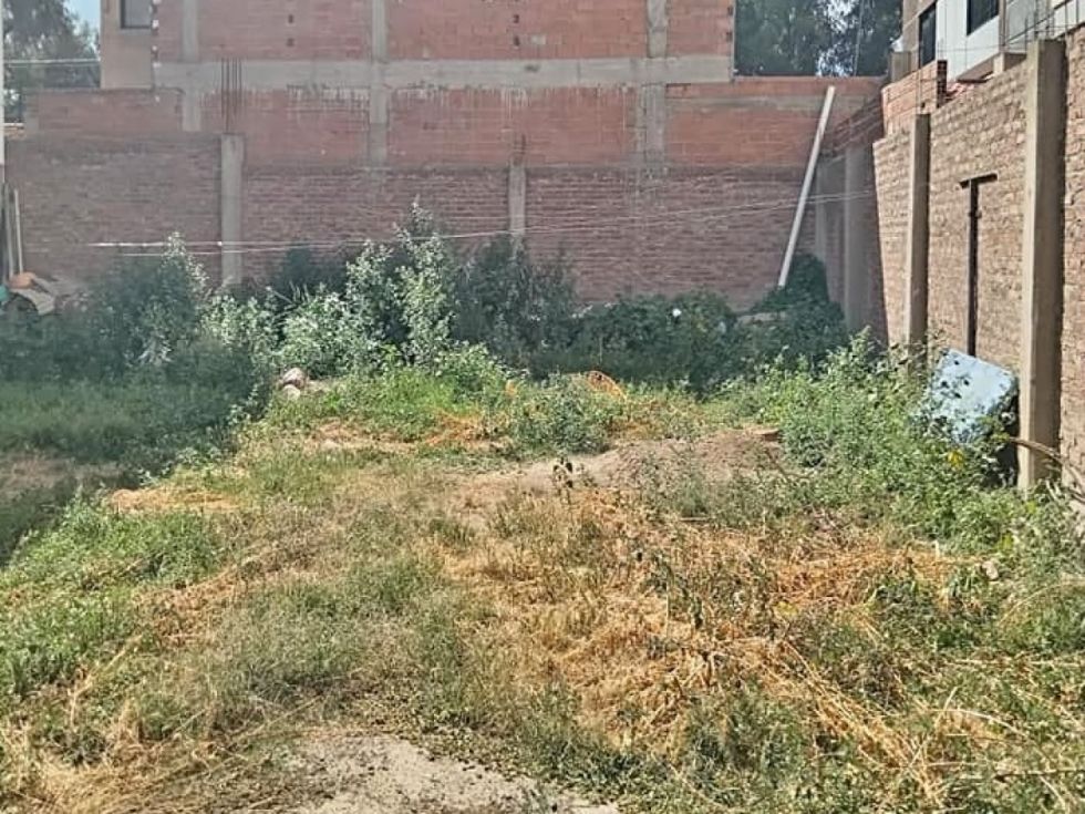 Piden al Municipio cumplir la ley de lotes baldíos