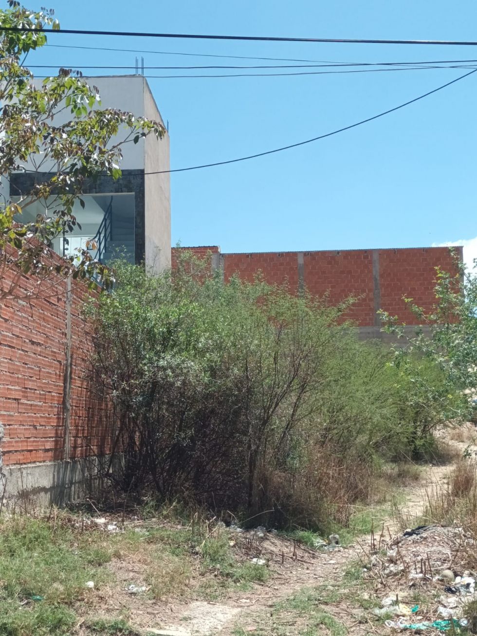 Lotes baldíos