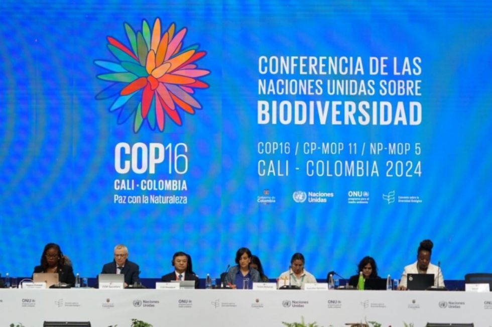 Una COP16 “histórica”, pero con grandes retos para ser “exitosa”