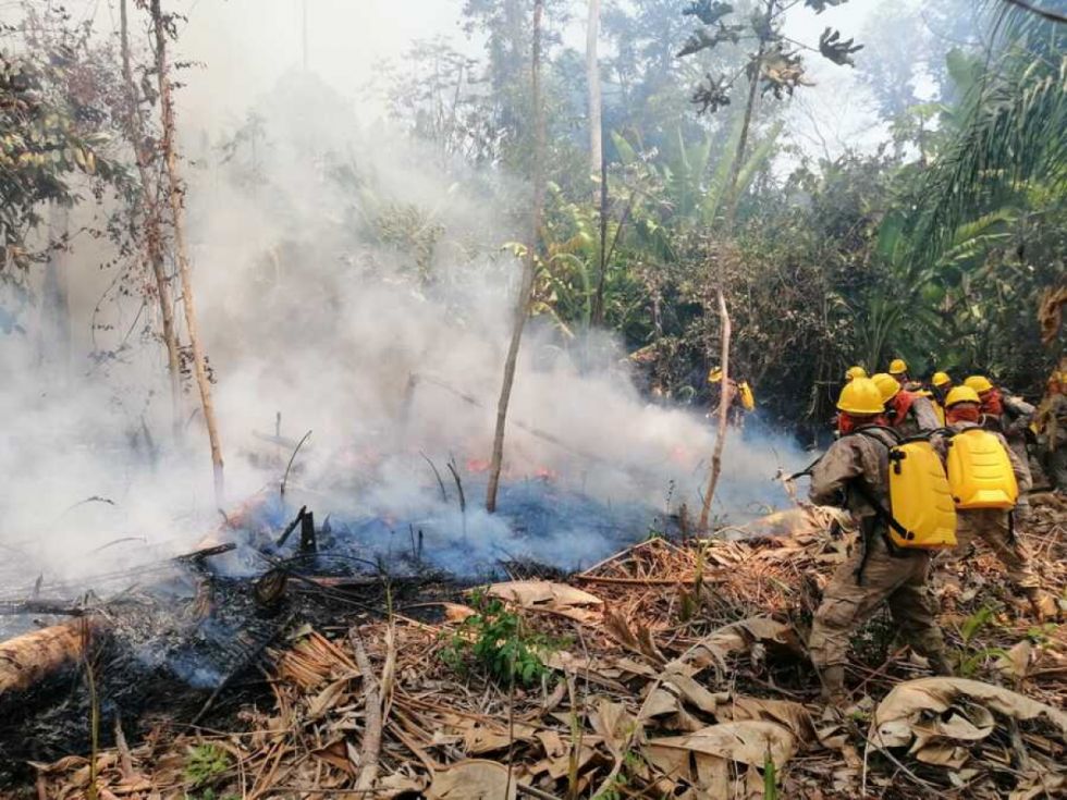 Parque Madidi: Reportan 2 fuegos activos