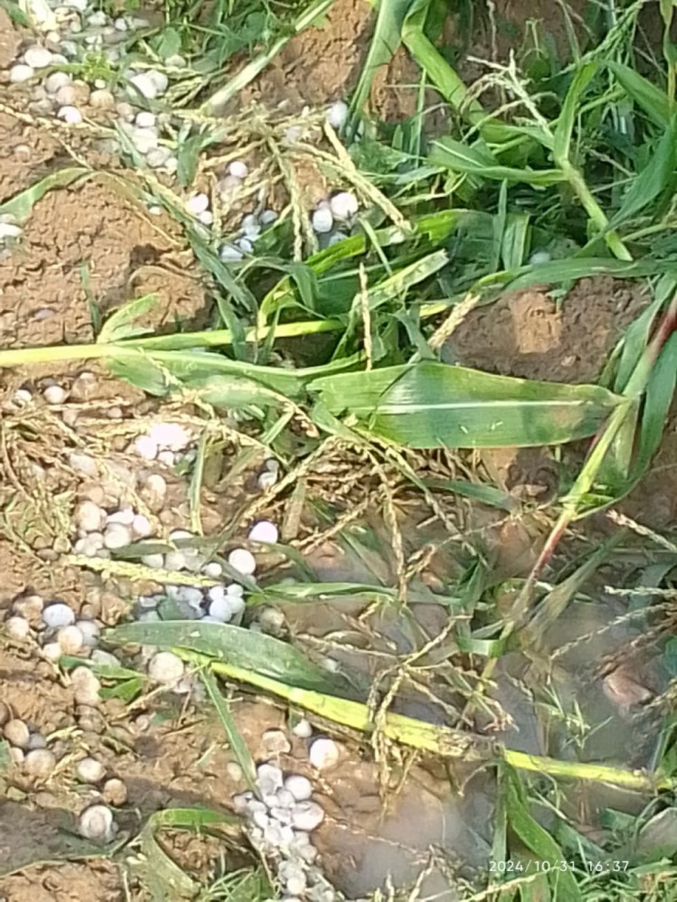 Efectos en Obrajes