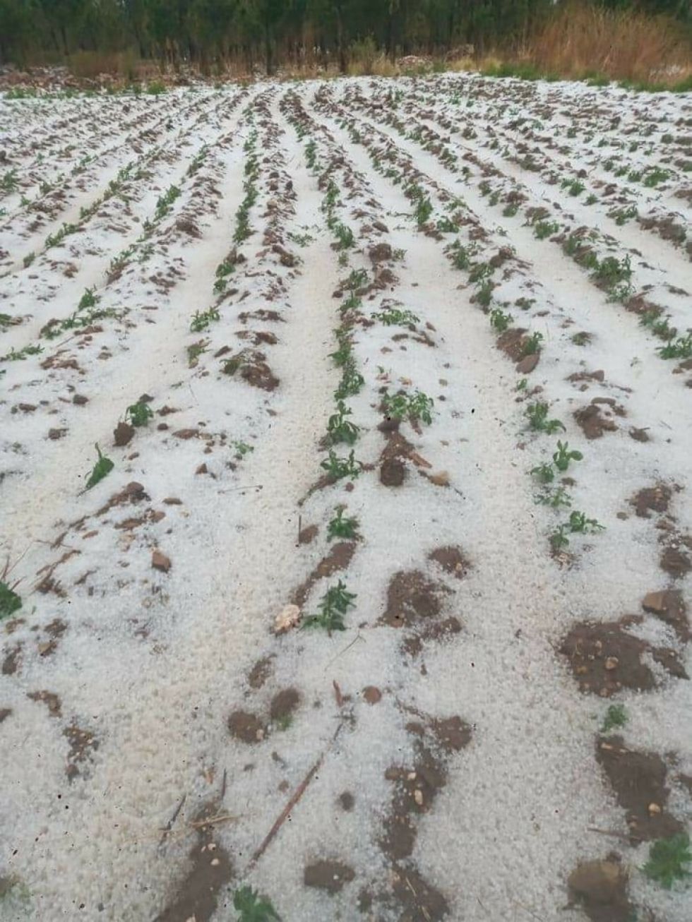 Fuerte granizada afecta a comunidades de El Puente en Tarija