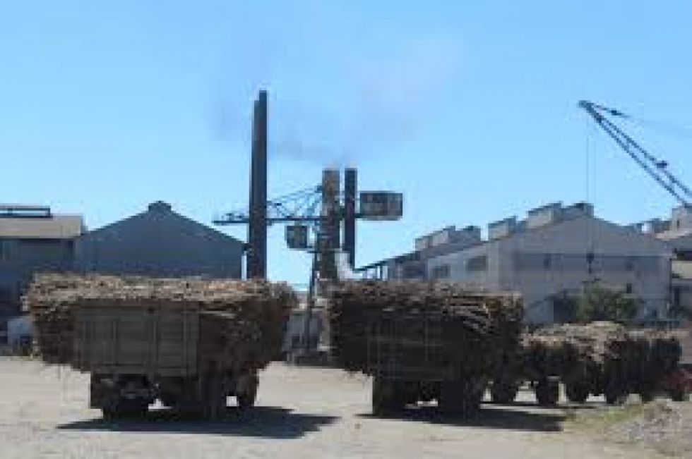 IABSA cierra molienda con 183 mil toneladas de caña
