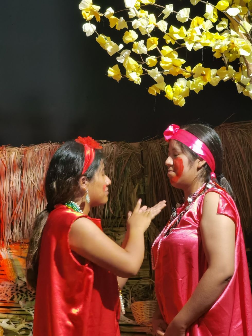 Así se vivió el Primer Festival Nacional de Teatro Universitario (TEUFEST)