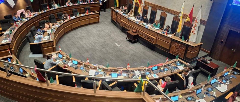 El Senado aprueba ley para blindar las elecciones judiciales con amplio respaldo