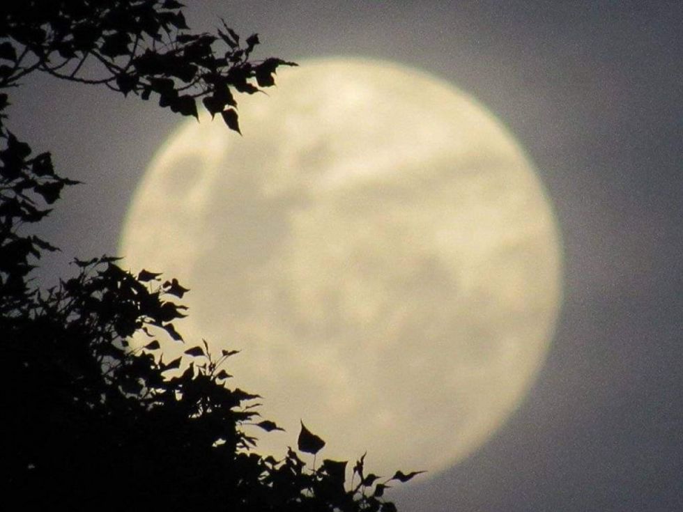 ¡No te la pierdas! Este viernes podrás ver la última superluna del año