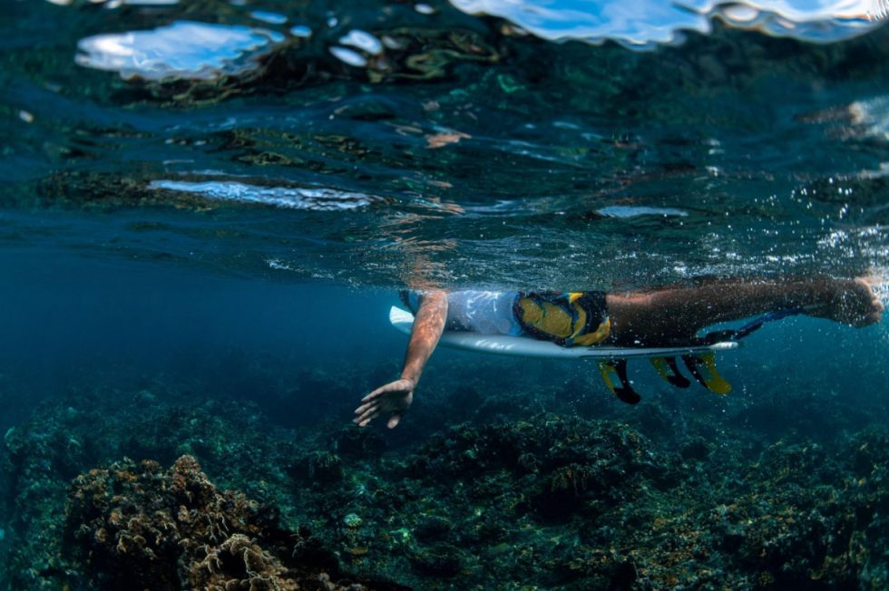 Surfeando la ola oceánica de las COPs