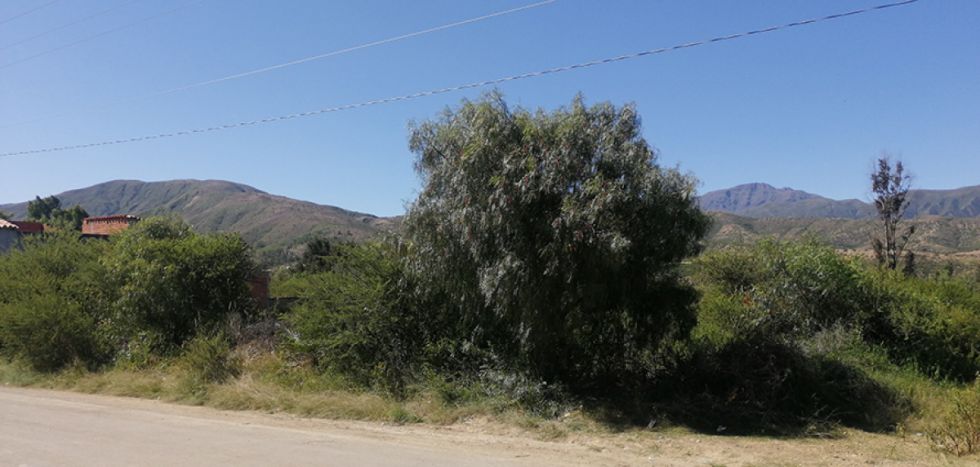 Vista campestre de Tarija