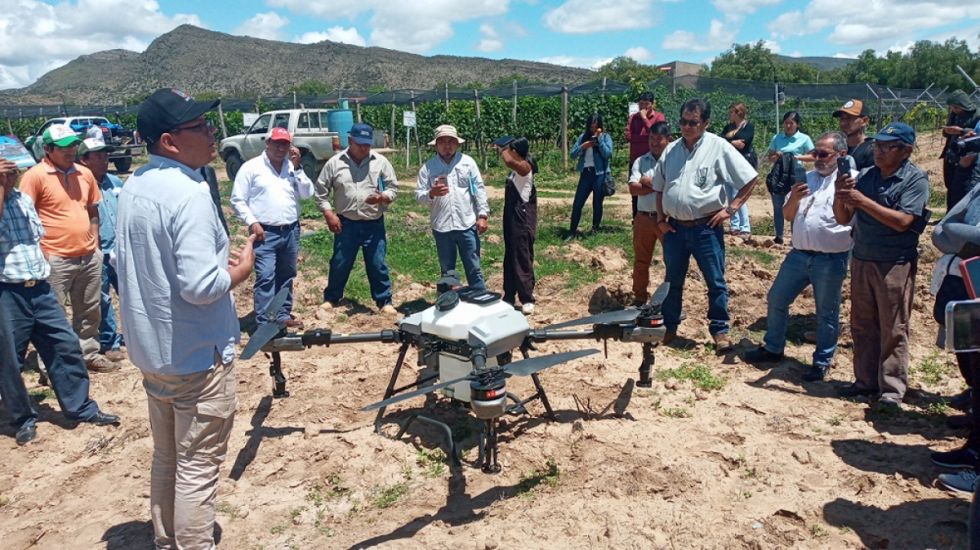 Tarija: La viticultura enfrenta desafíos para tecnificarse