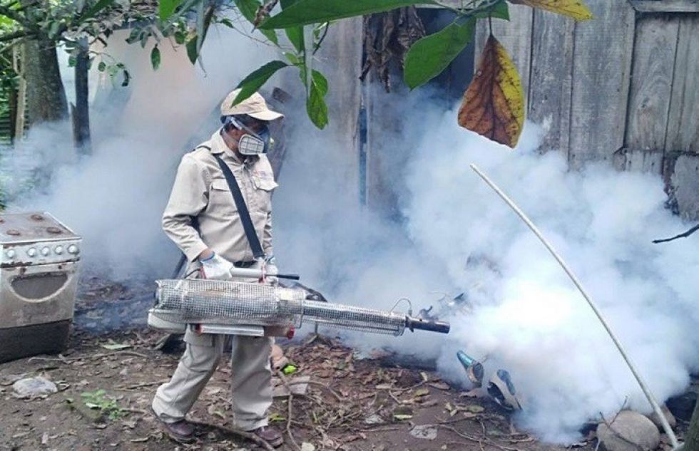 Tarija: El dengue al acecho tras las intensas lluvias