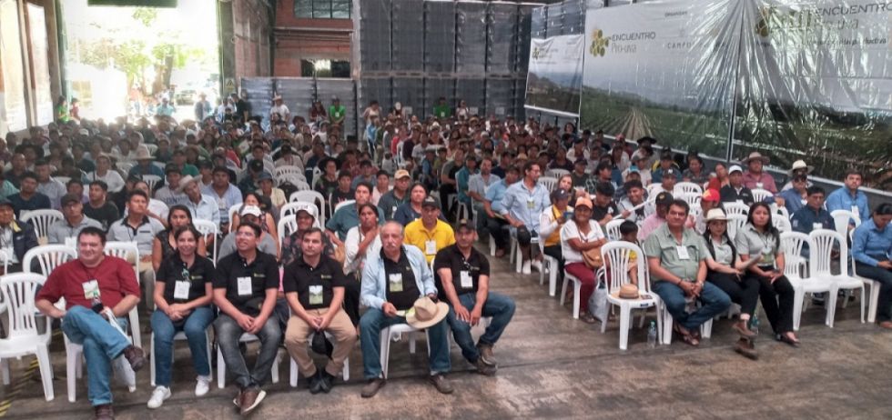 Productores buscan aplicar la viticultura regenerativa