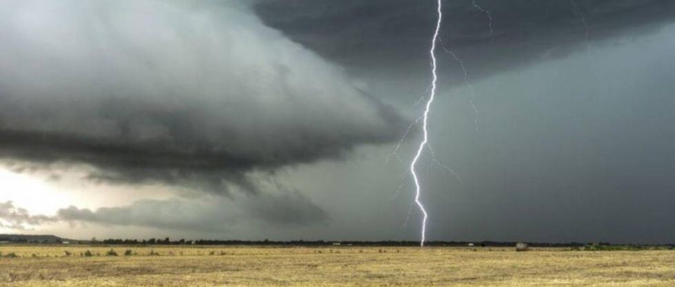 En Potosí, 29 cabezas de ganado fallecen por tormentas eléctricas 