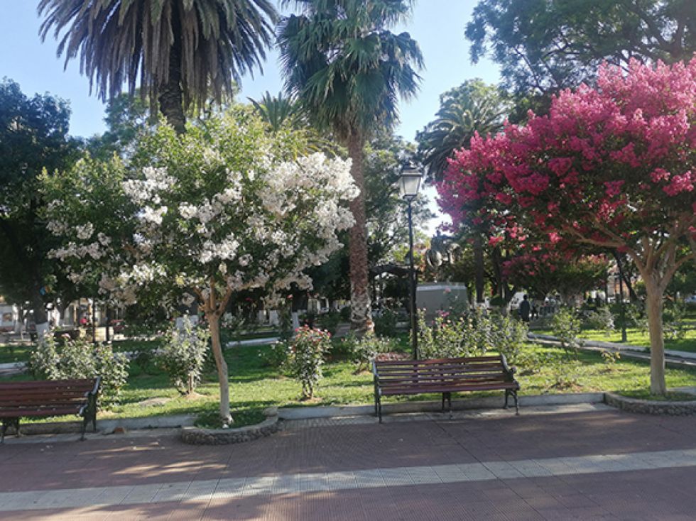 La florida plazuela Sucre