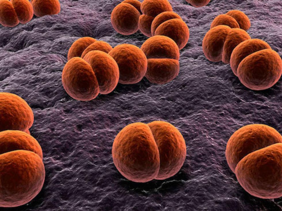 Descartan caso sospechoso de meningitis en Bermejo 