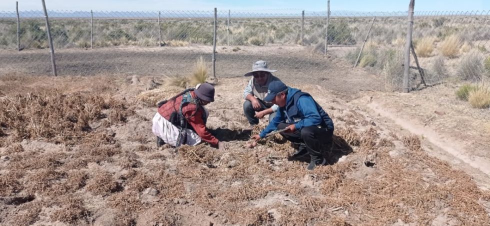 Bolivia cierra el 2024 con 491.505 familias afectadas por la sequía 