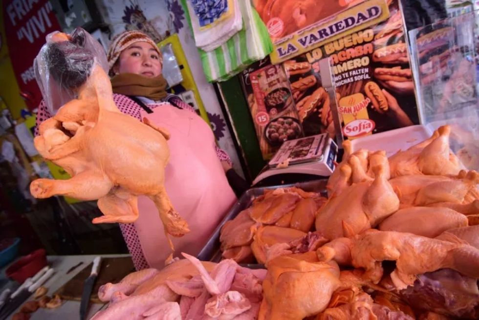 El precio del pollo tensiona al Gobierno y a los avícolas