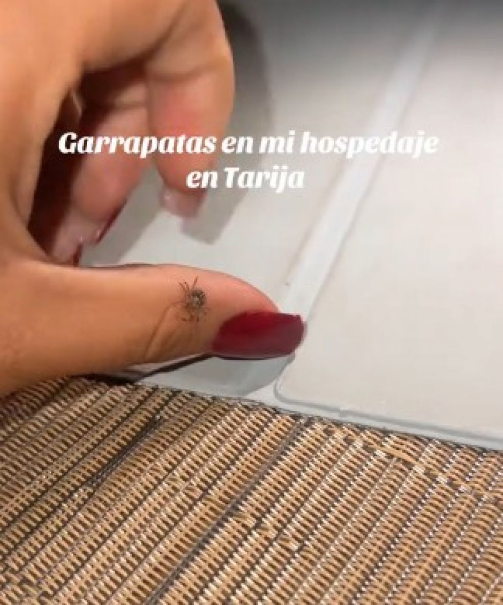 Amenazan con denunciar a influencer La sabrosa, luego de que mostrara el estado de su alojamiento en Tarija
