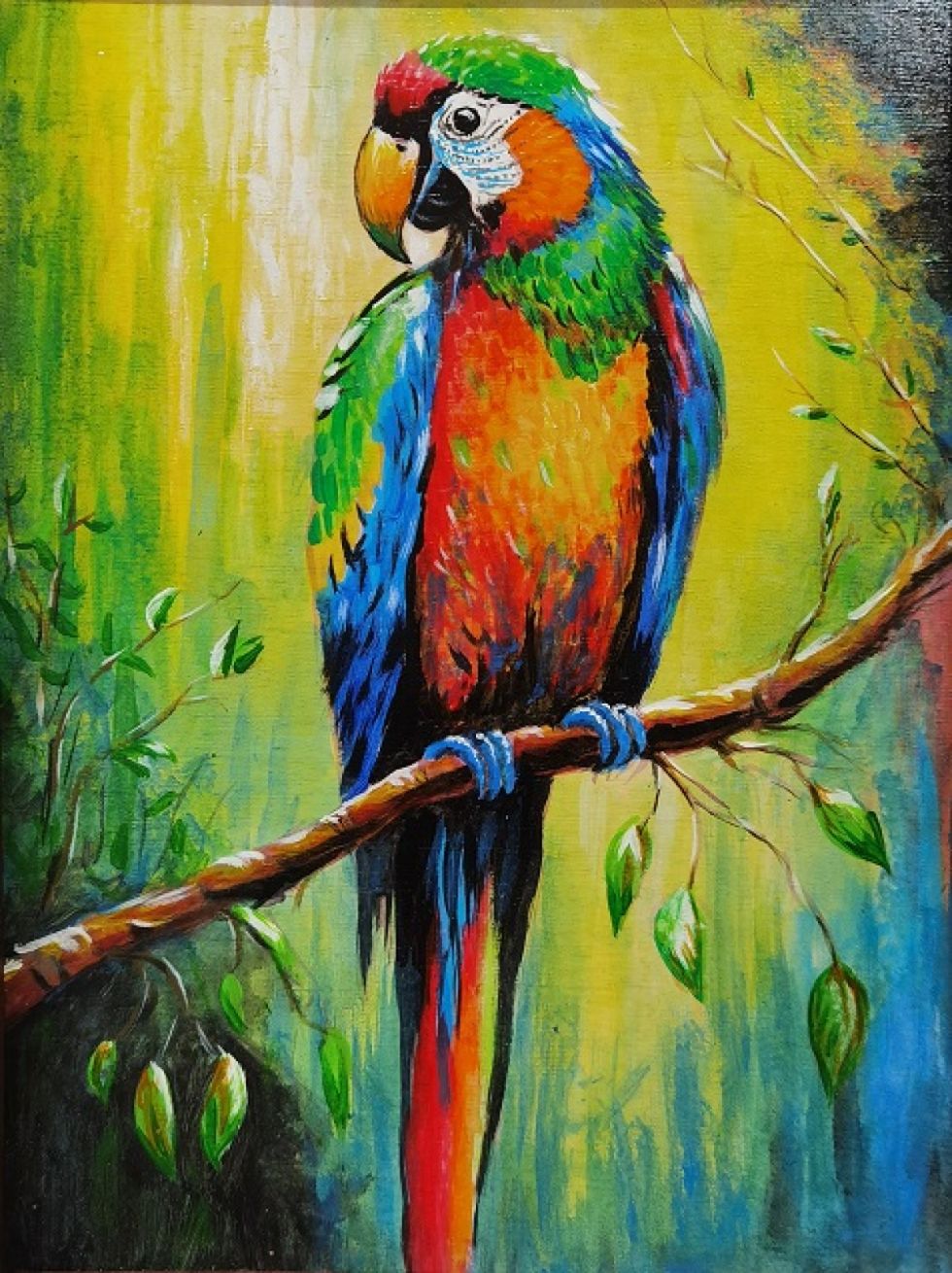 Aves y mujeres