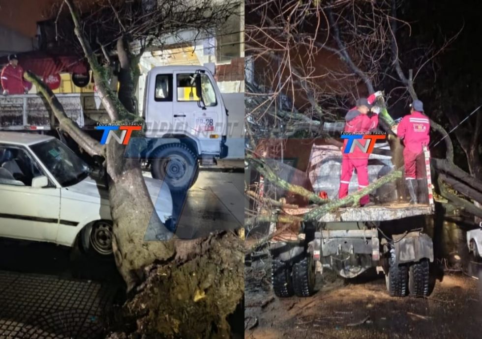 Cae un árbol sobre un vehículo en el Parque Bolívar