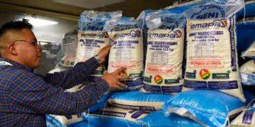 De Bs 50,50 a Bs 70, Emapa sube el precio de la arroba de arroz 