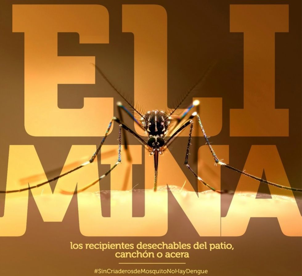 Dengue: Activan alerta en 4 municipios de Beni