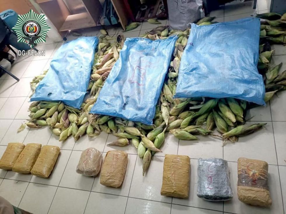 Hallan bolsas de choclo con marihuana 