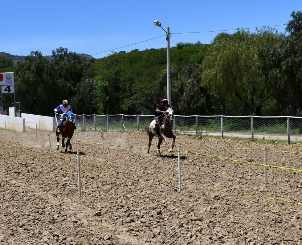 Destacan crecimiento de las carreras cuadreras en Tarija 