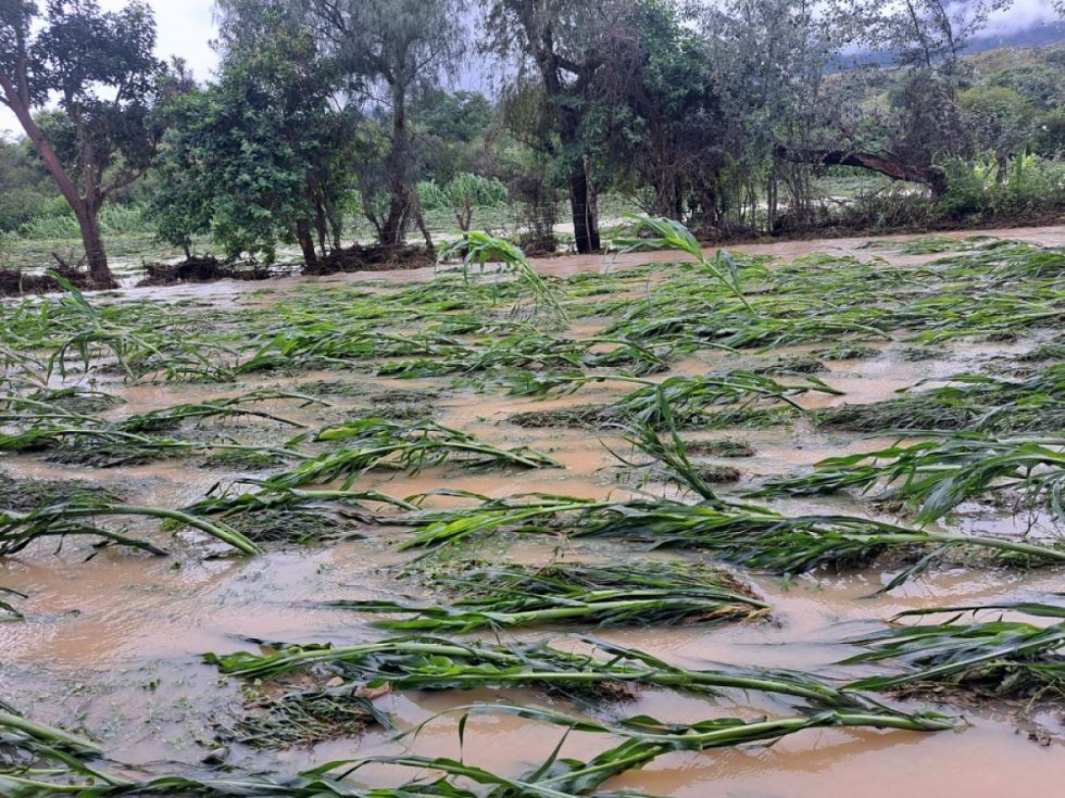 El desborde del río Camacho golpea a familias de Arce y Avilés 