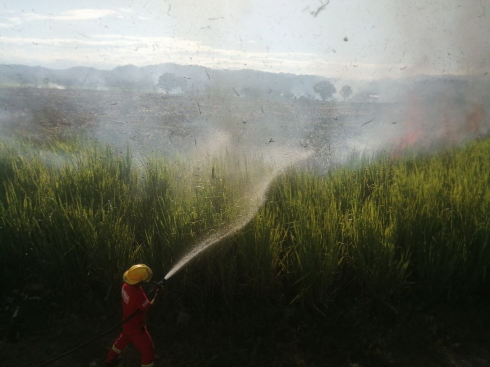 Bermejo: siete hectáreas de pastizales fueron consumidas por el fuego