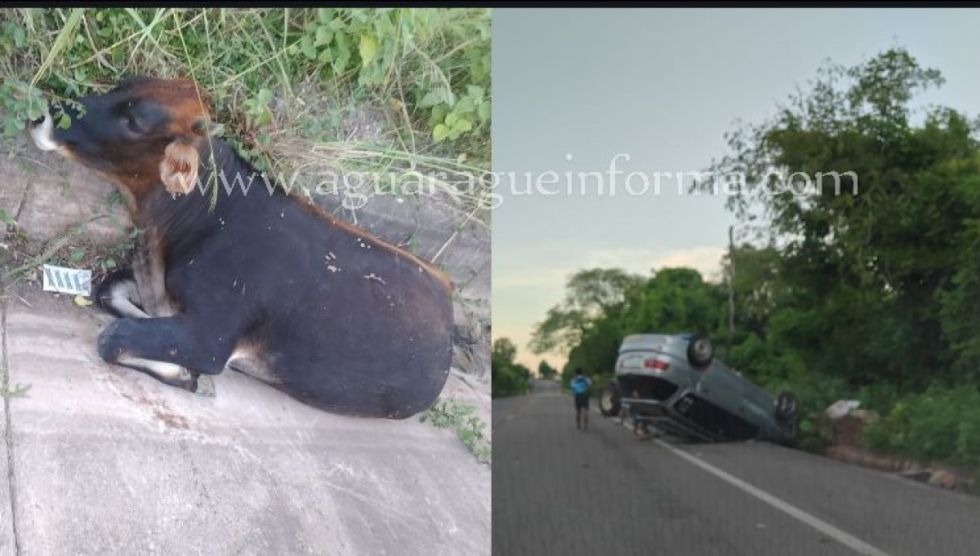 Reportan accidente en la ruta Caraparí - Acheral