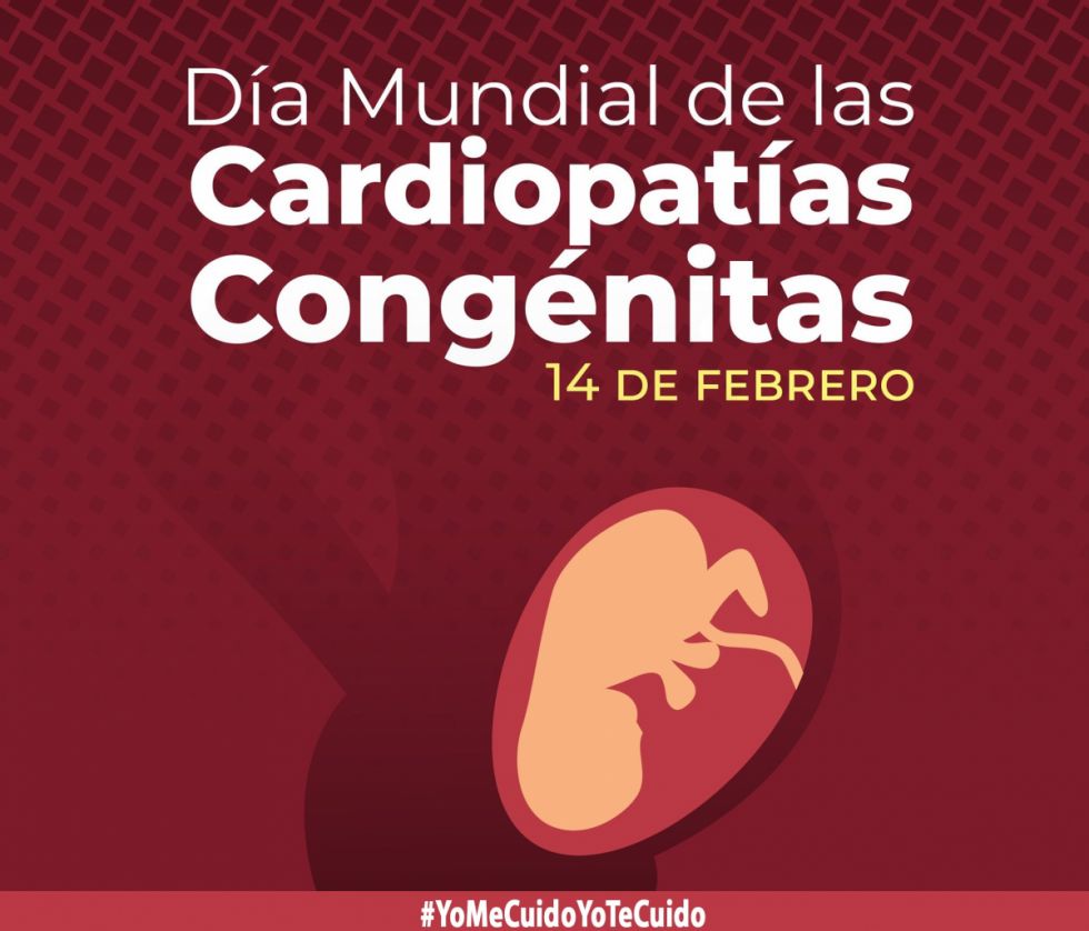 Piden aumentar recursos para detectar antes las cardiopatías