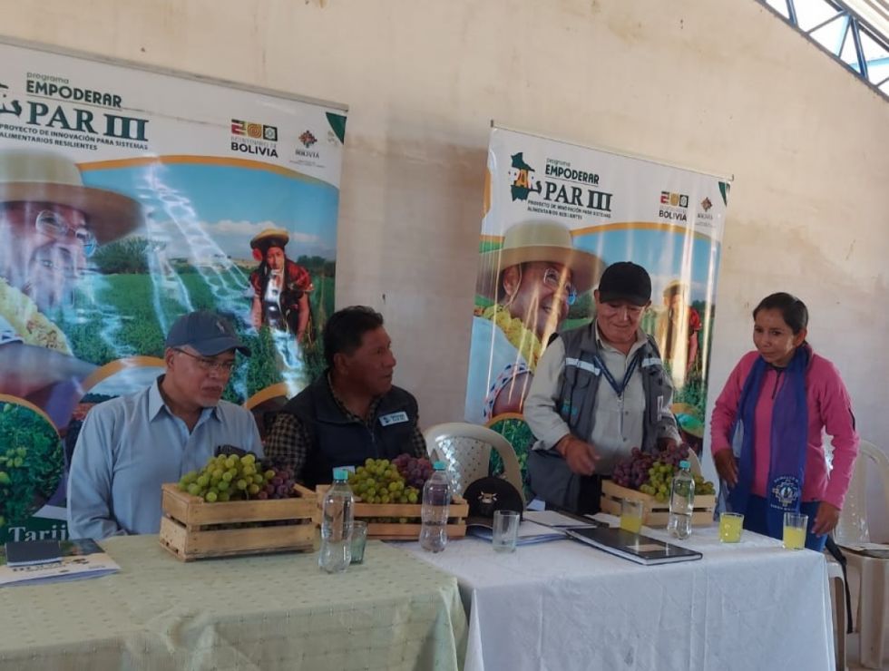 Inspeccionan proyecto para subir producción de uva