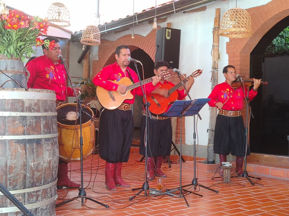 Canto Canario dando la nota