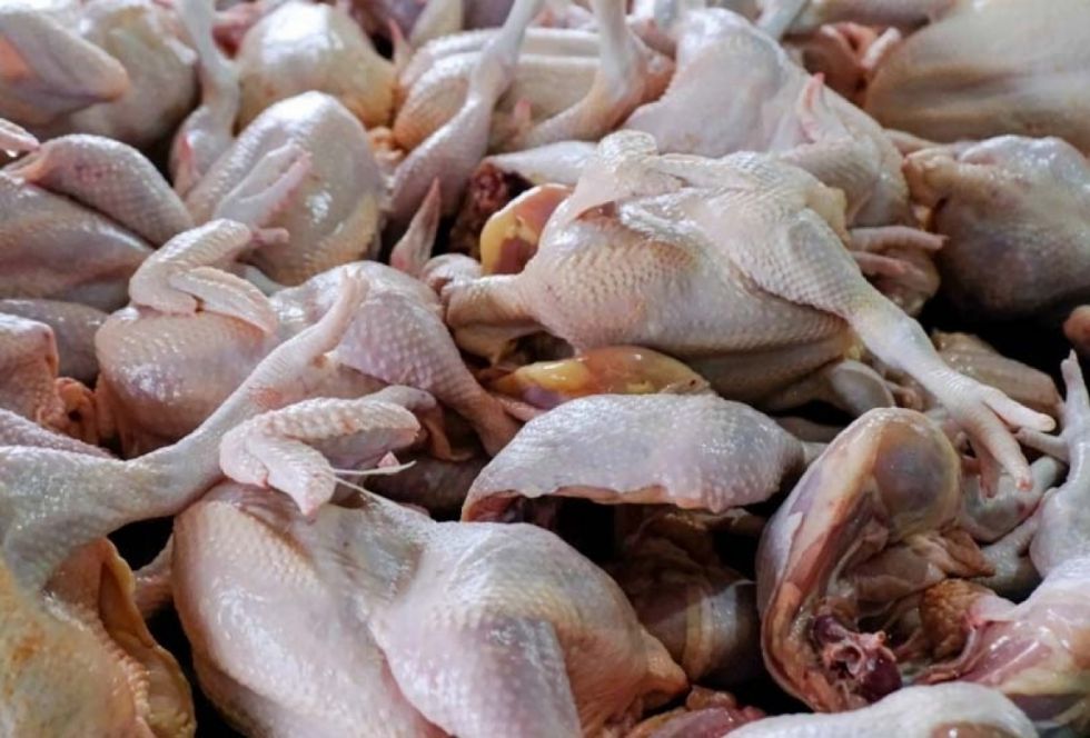 El alza del precio del pollo crea preocupación en Tarija