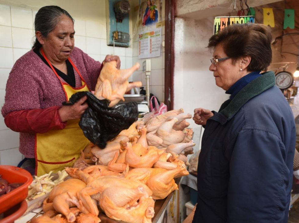 Desabastecimiento de carne de pollo seguirá hasta septiembre 